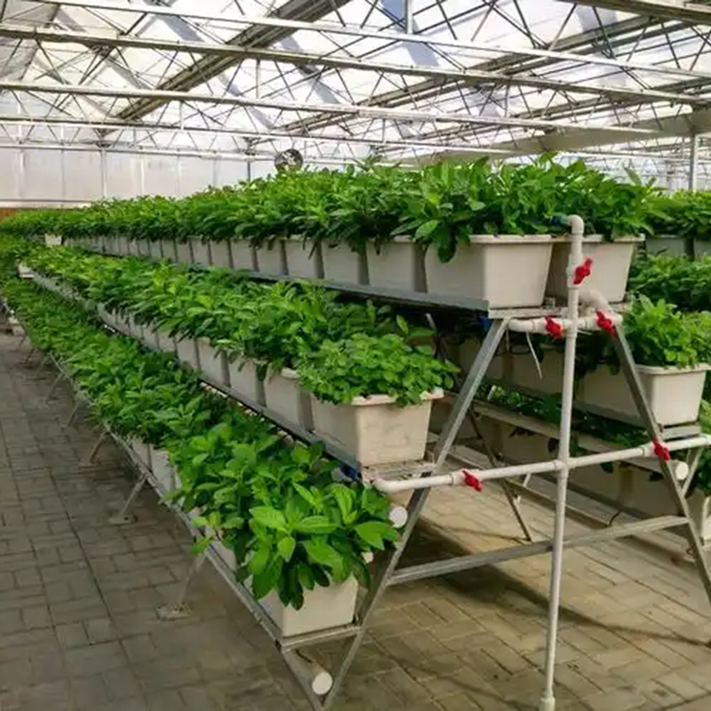 泉州市植物工厂大棚 - 哪里好